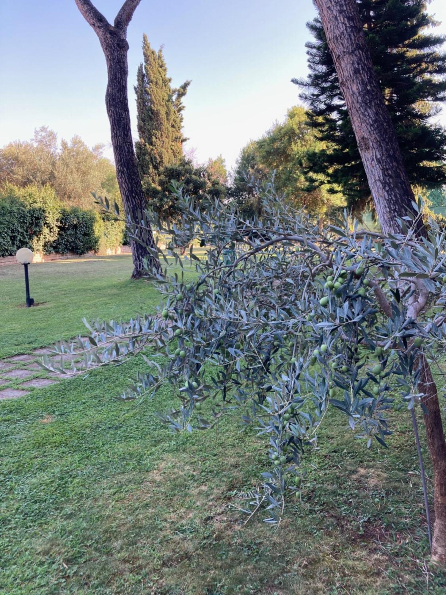 Terrace! Διαμέρισμα Ρώμη Εξωτερικό φωτογραφία