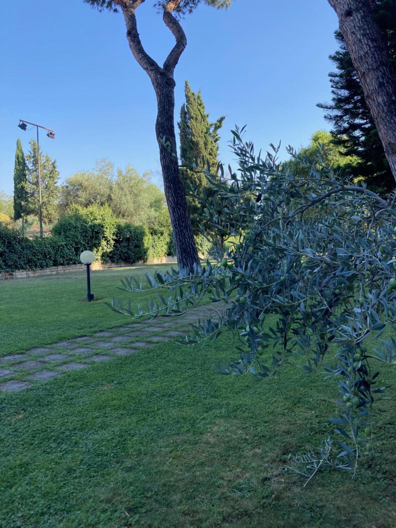 Terrace! Διαμέρισμα Ρώμη Εξωτερικό φωτογραφία